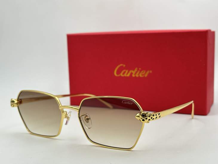 Picture of Cartier Sunglasses _SKUfw79165390fw